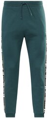 Мужские брюки Reebok Ri TAPE Jogger Green HJ7844 HJ7844/L цена и информация | Мужская спортивная одежда | kaup24.ee