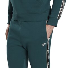 Мужские брюки Reebok Ri TAPE Jogger Green HJ7844 HJ7844/L цена и информация | Мужская спортивная одежда | kaup24.ee