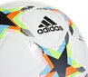 Adidas jalgpall UCL Pro Sala Void HE3769 hind ja info | Jalgpalli pallid | kaup24.ee