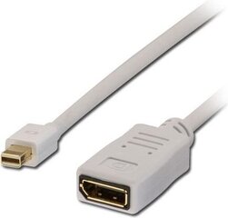 Кабель Lindy DisplayPort Mini - DisplayPort 1,5 м, белый цена и информация | Адаптеры и USB-hub | kaup24.ee