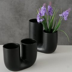 Boltze ваза Filicio 17 см цена и информация | Vaasid | kaup24.ee