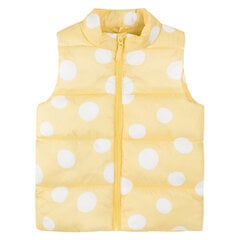 Cool Club vest tüdrukutele, COG2500319 цена и информация | Свитеры, жилетки, пиджаки для девочек | kaup24.ee