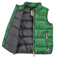 Cool Club vest poistele, COB2500261 цена и информация | Свитеры, жилетки, пиджаки для мальчиков | kaup24.ee