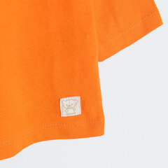 Cool Club футболка с длинными рукавами для мальчиков, CCB2501515 цена и информация | Рубашки для мальчиков | kaup24.ee