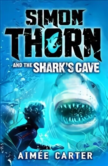 Simon Thorn and the Shark's Cave цена и информация | Noortekirjandus | kaup24.ee