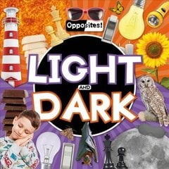 Light and Dark hind ja info | Noortekirjandus | kaup24.ee