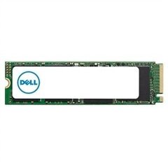 Dell AB292883, 512GB цена и информация | Внутренние жёсткие диски (HDD, SSD, Hybrid) | kaup24.ee