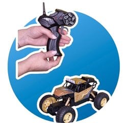 Laetav r/c auto juhtpuldiga цена и информация | Игрушки для мальчиков | kaup24.ee