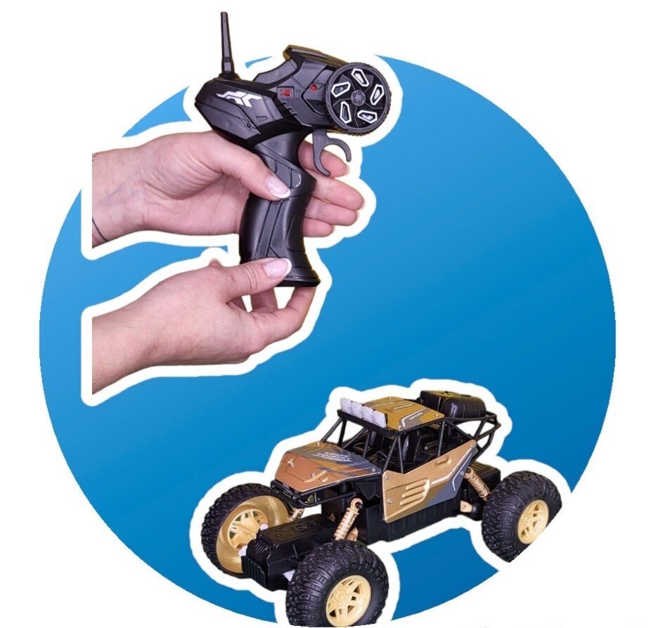 Laetav r/c auto juhtpuldiga цена и информация | Poiste mänguasjad | kaup24.ee