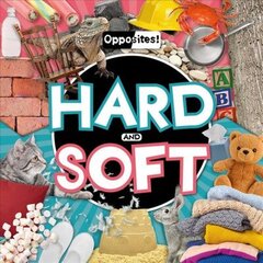 Hard and Soft цена и информация | Книги для подростков и молодежи | kaup24.ee