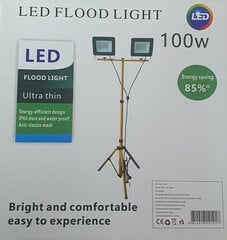 Statiiviga lamp, 2 x 50 w цена и информация | Фонарики, прожекторы | kaup24.ee