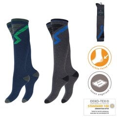 Длинные махровые мужские термоноски Footstar 71926, 2 пары цена и информация | Мужские носки | kaup24.ee