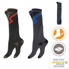 Длинные махровые мужские термоноски Footstar 71926, 2 пары цена и информация | Мужские носки | kaup24.ee