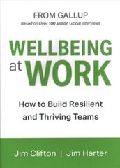 Wellbeing At Work hind ja info | Majandusalased raamatud | kaup24.ee