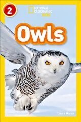 Owls: Level 2, Owls: Level 2 hind ja info | Noortekirjandus | kaup24.ee