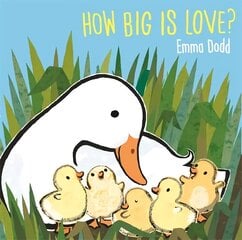 How Big Is Love? hind ja info | Väikelaste raamatud | kaup24.ee