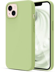 Evelatus Liquid Silicone предназначен для iPhone 13, зеленый цена и информация | Чехлы для телефонов | kaup24.ee