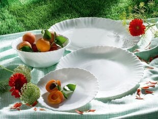 Миска Luminarc Feston, 25 см цена и информация | Посуда, тарелки, обеденные сервизы | kaup24.ee