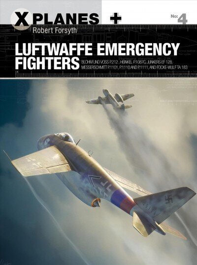 Luftwaffe Emergency Fighters цена и информация | Ajalooraamatud | kaup24.ee