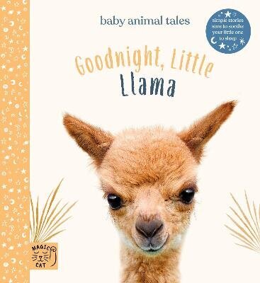 Goodnight Little Llama: Simple stories sure to soothe your little one to sleep цена и информация | Noortekirjandus | kaup24.ee
