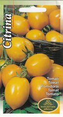 Помидоры Лимон (Citrina) цена и информация | Семена овощей, ягод | kaup24.ee