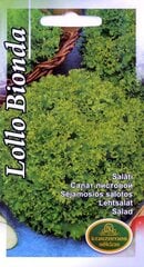 Lehtsalat Lollo Bionda цена и информация | Семена овощей, ягод | kaup24.ee