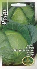 Kapsas Polar цена и информация | Семена овощей, ягод | kaup24.ee