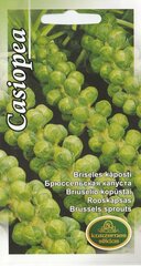 Брюссельская капуста Касиопея. цена и информация | Семена овощей, ягод | kaup24.ee