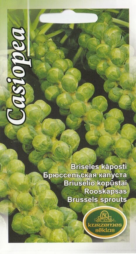 Rooskapsas (brüsseli kapsas) Casiopea цена и информация | Köögivilja-, marjaseemned | kaup24.ee