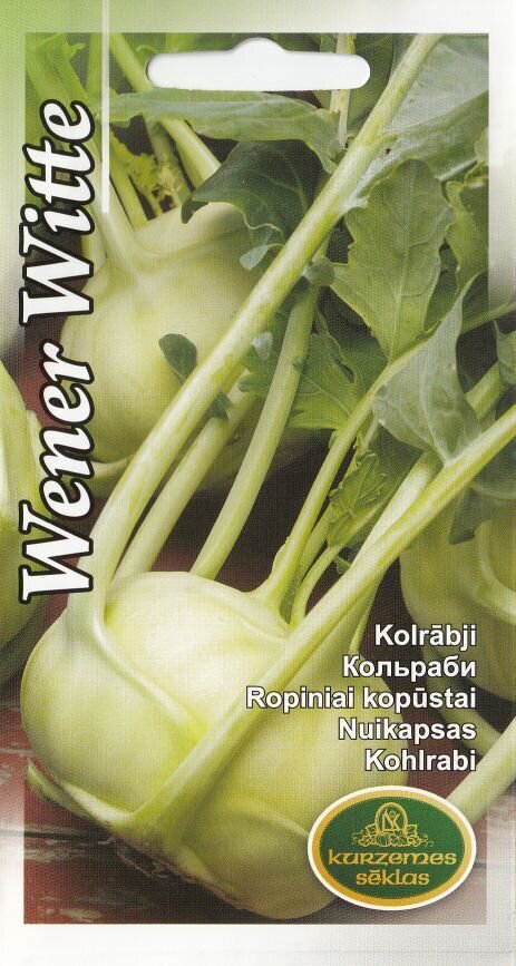 Nuikapsas Wener Witte цена и информация | Köögivilja-, marjaseemned | kaup24.ee