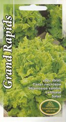 Lehtsalat Grand Rapids цена и информация | Семена овощей, ягод | kaup24.ee