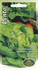 Салат Мэй Кинг цена и информация | Семена овощей, ягод | kaup24.ee