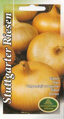 Лук Stuttgarter Riesen, 3 г цена и информация | Семена овощей, ягод | kaup24.ee