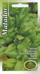 Шпинат садовый Matador цена и информация | Семена овощей, ягод | kaup24.ee