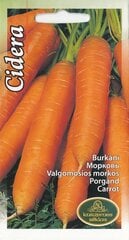 Семена моркови Cидepa цена и информация | Семена овощей, ягод | kaup24.ee