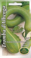 Тыквы Тромба Д'Альбенга цена и информация | Семена овощей, ягод | kaup24.ee