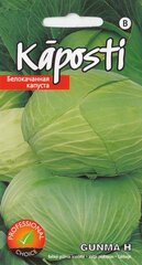 Valge peakapsas Gunma H hind ja info | Köögivilja-, marjaseemned | kaup24.ee