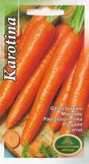 Porgand Karotina цена и информация | Семена овощей, ягод | kaup24.ee