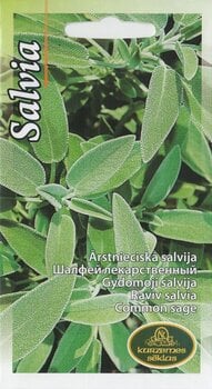 Raviv salvia hind ja info | Maitsetaimede seemned | kaup24.ee