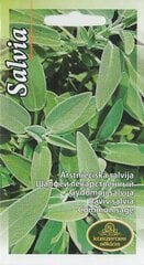 Raviv salvia цена и информация | Семена приправ | kaup24.ee