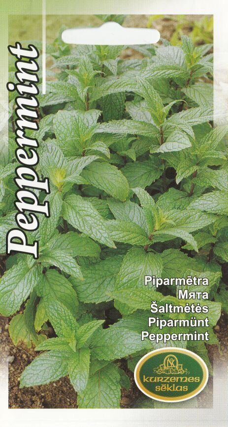 Piparmünt цена и информация | Maitsetaimede seemned | kaup24.ee