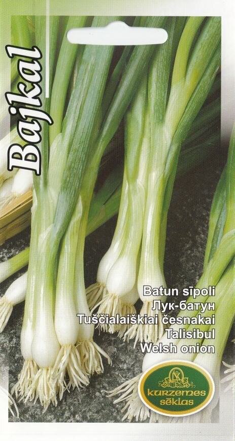 Talisibul Bajkal hind ja info | Maitsetaimede seemned | kaup24.ee