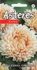 Астры Леди Корал Шамуа цена и информация | Семена цветов | kaup24.ee