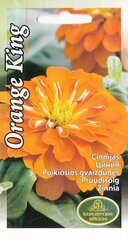 Цинния Orange King цена и информация | Семена цветов | kaup24.ee