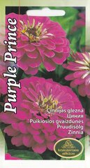 Pruudisõlg Purple Prince цена и информация | Зайцехвост яйцевидный | kaup24.ee