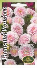 Астры Thousend Wonders цена и информация | Зайцехвост яйцевидный | kaup24.ee