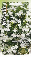 Lobeelia CASCADE hind ja info | Lilleseemned | kaup24.ee