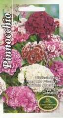 Студенческие гвоздики Pinnocchio цена и информация | Семена цветов | kaup24.ee