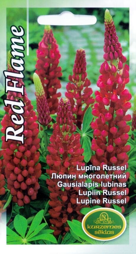 Lupiin Russel Red Flame цена и информация | Lilleseemned | kaup24.ee