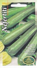 Kabatšokk Nefertiti цена и информация | Семена овощей, ягод | kaup24.ee